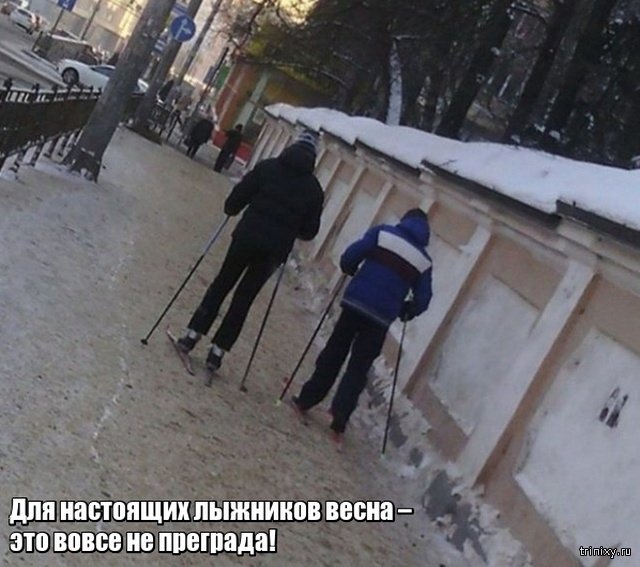 Весна уже пришла? Или пока еще нет? Весна уже пришла? Или пока еще нет? смешные картинки