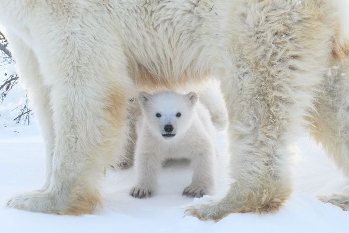 The Look Of Innocence!