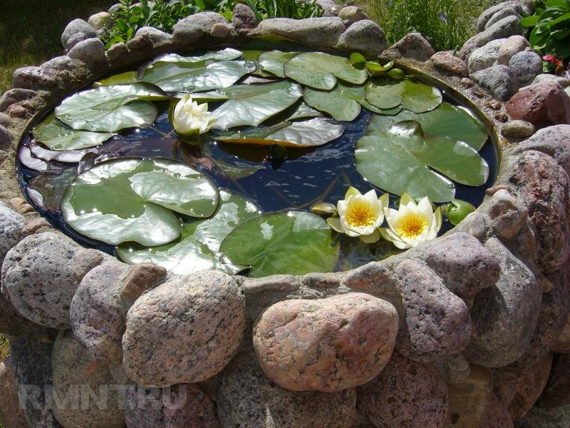 Виды искусственных водоемов для сада с фото и описанием