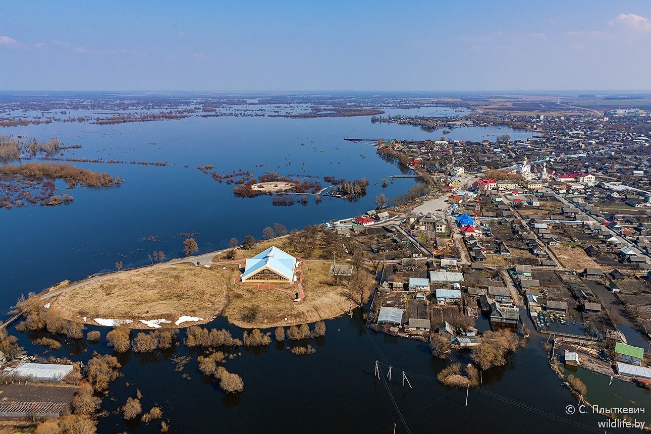 Белорусская «Амазония» удивила иностранцев заграница,путешествие,туризм