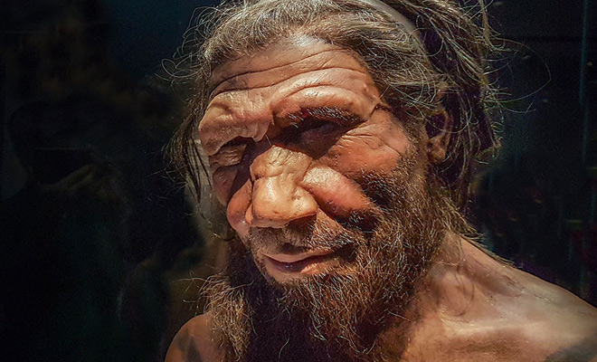 Ученые выяснили, что люди и неандертальцы воевали между собой почти 100 000 лет