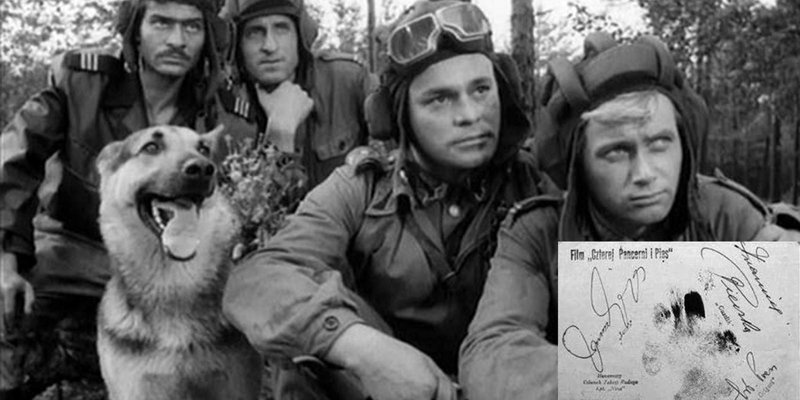 Самый добрый фильм о войне Самый добрый фильм о войне кино