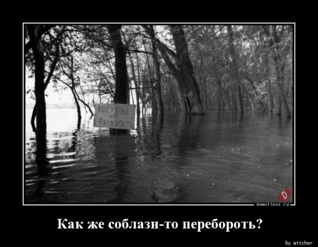Демотиваторов пост: «Говорят, что я избаловал кошку…»  