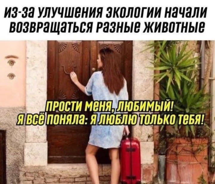 Надпись на холодильнике: "Творог несвежий, коту не давай. Приду с работы, сырники тебе сделаю" анекдоты,веселые картинки,демотиваторы,юмор