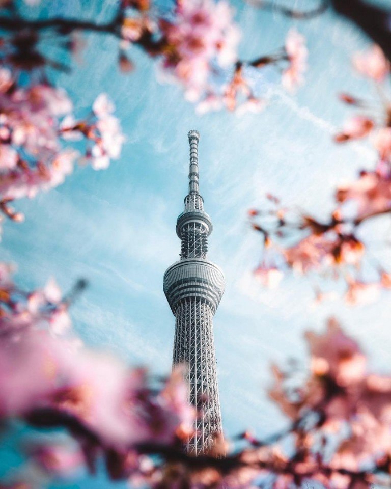 Позитивные фотографии и красивые картинки из сети красивые фотографии,прикольные картинки,шикарные фотографии