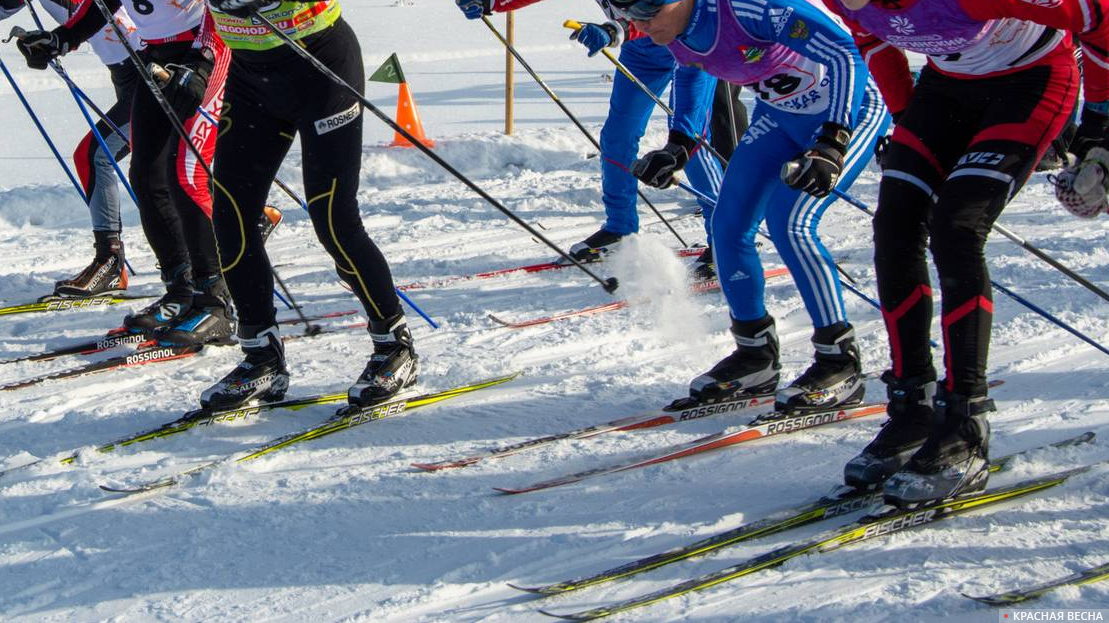 В первый день лыжники. Лыжные гонки. Лыжные соревнования. Лыжные гонки крупным планом.