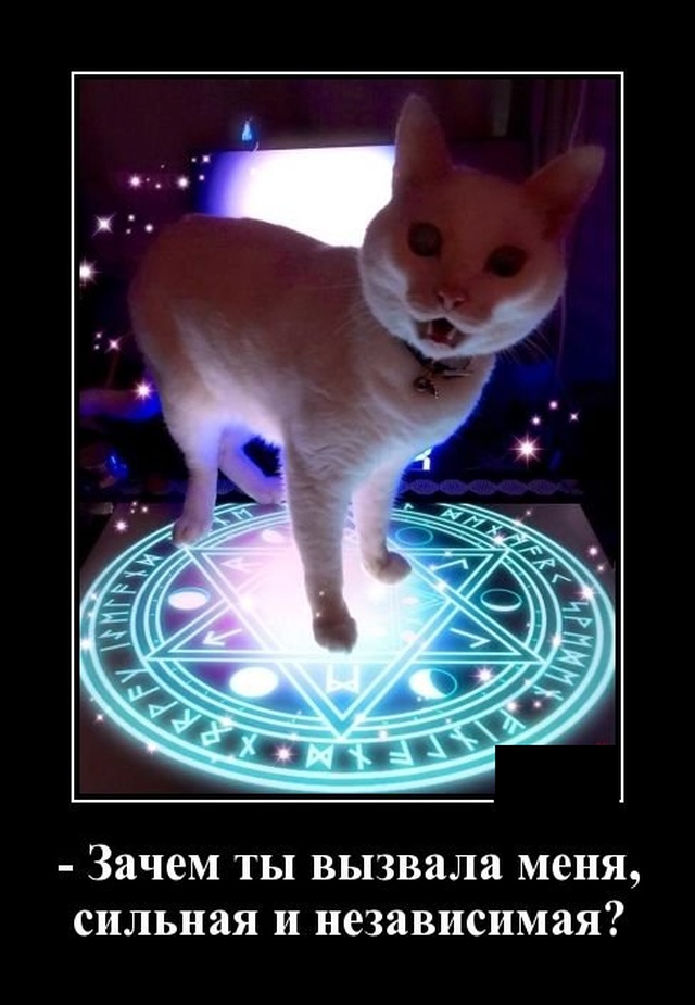 А вот видишь ту девушку, завтра я на ней женюсь.. анекдоты,веселье,демотиваторы,приколы,смех,юмор