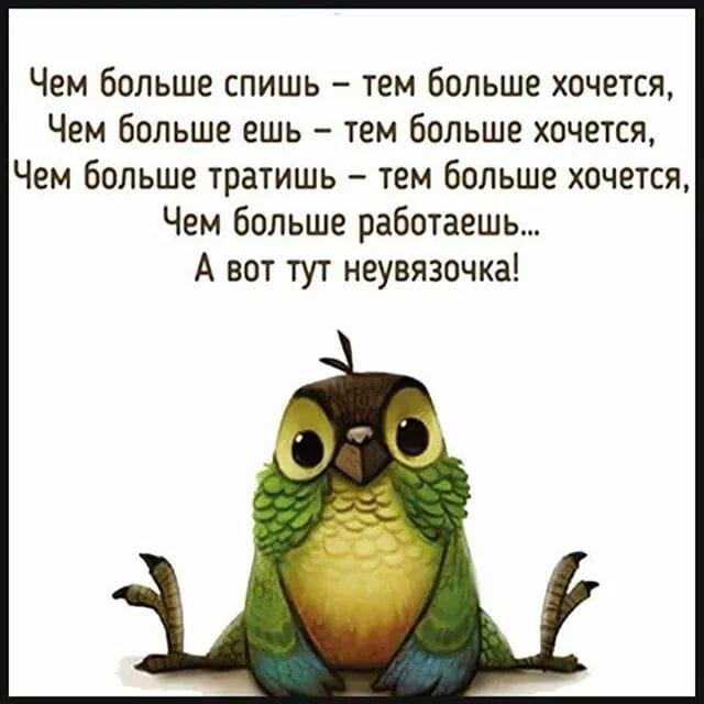 Юмор для всех: классные анекдоты и шуточки 