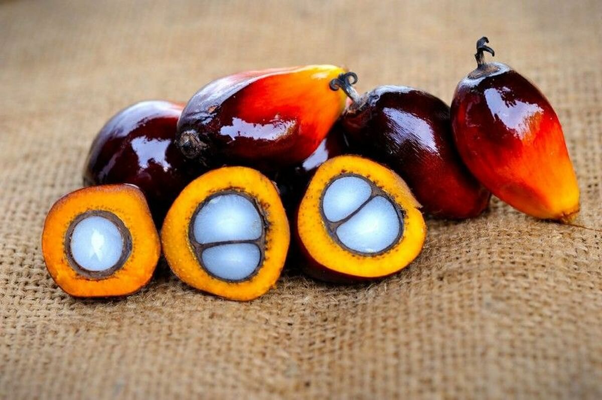 Как улучшить зрение с помощью пальмового масла? Расскажу про это и другие свойства чудо-продукта! здоровый образ жизни,здоровье,пальмовое масло,полезные продукты,похудение и правильное питание