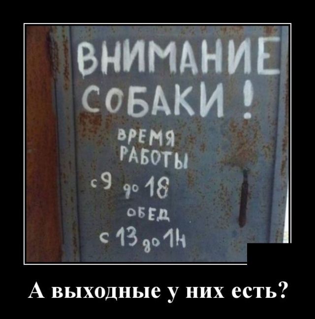 Демотиваторы на 23 октября 