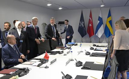 На фото: на встрече, посвященной заявке Швеции на вхождение в состав НАТО