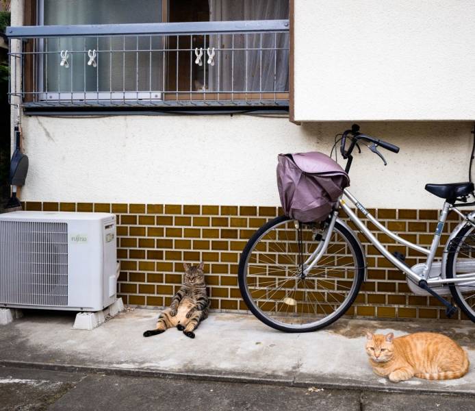 Подборка веселых, классных и забавных фотографий с надписями и прикольных картинок из сети картинки с надписями,красивые фотографии,приколы,прикольные картинки,смешные комментарии,юмор