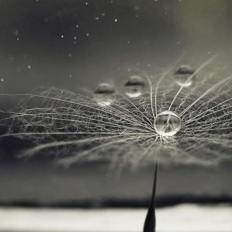 Фотография: Без фотошопа (часть 2) №22 - BigPicture.ru