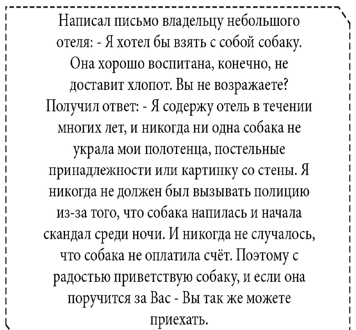 15+ веселых историй, которые стопроцентно подарят вам хорошее настроение 