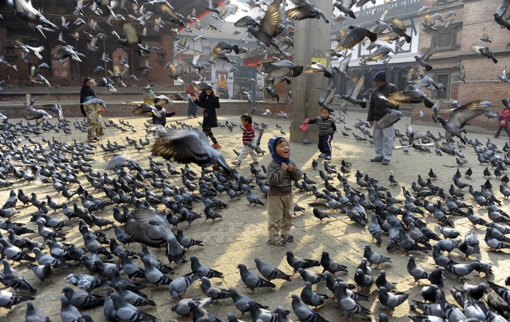 Странное, необычное и смешное...