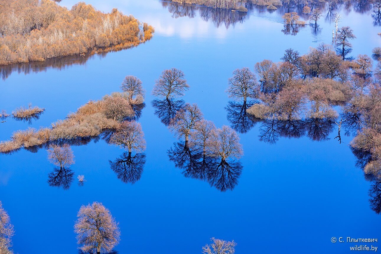 Белорусская «Амазония» удивила иностранцев заграница,путешествие,туризм