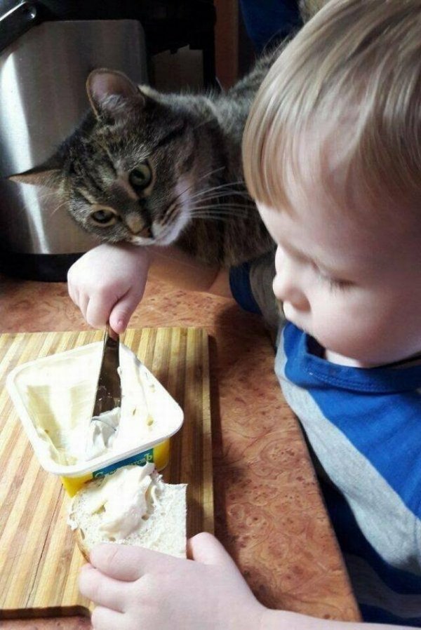 О дружбе О дружбе