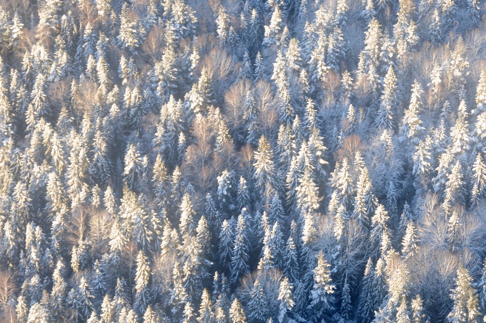 Зимняя сказка Кижей. Карелия. Россия. Дальние дали