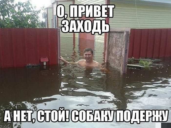 Подборка прикольных фото про детей депутатов, биологию и половую жизнь до брака и они ждут новый iPhone Подборка прикольных фото про детей депутатов, биологию и половую жизнь до брака и они ждут новый iPhone позитив