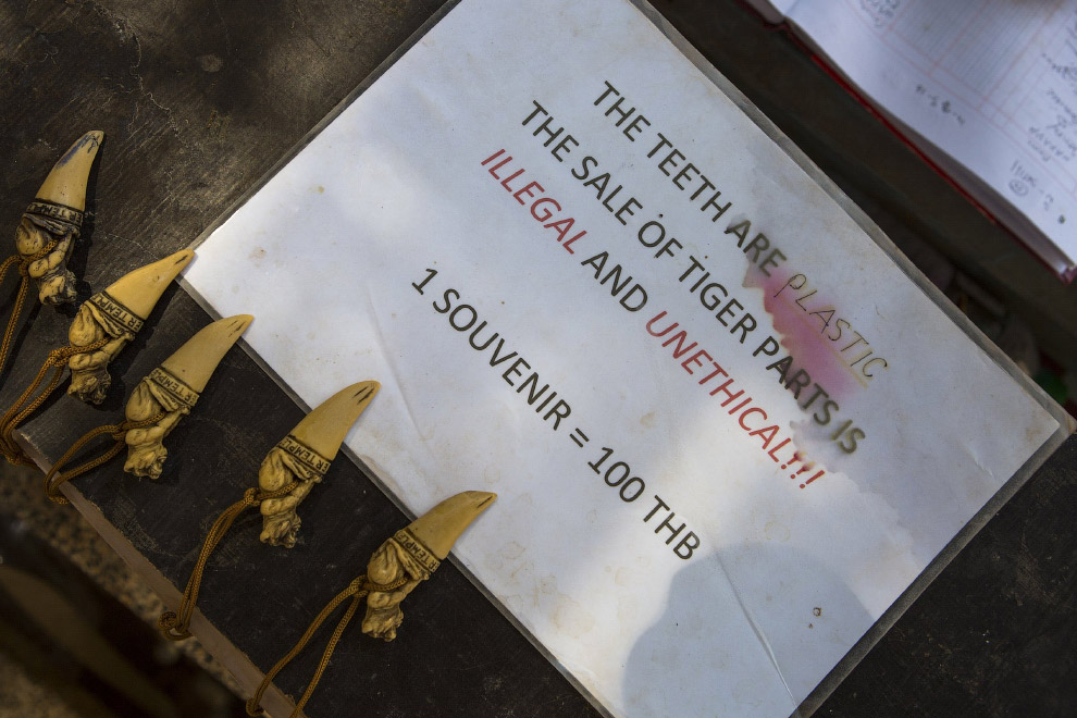 Тигриный монастырь