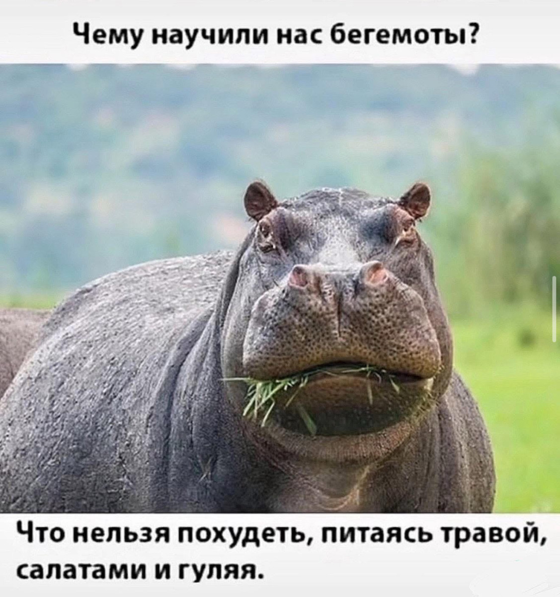 Миллионы людей, мечтающих о бессмертии, не знают, что им делать в среду вечером... Миллионы людей, мечтающих о бессмертии, не знают, что им делать в среду вечером...