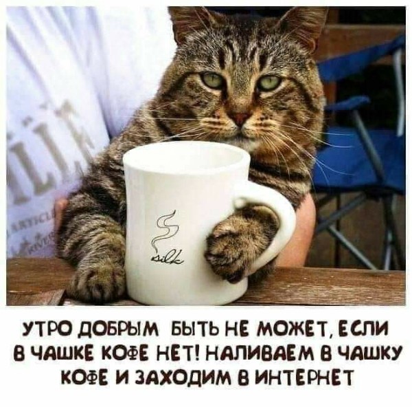 Юмор из интернета 726