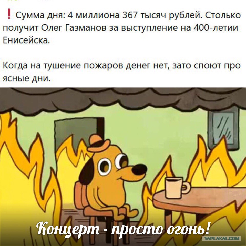 Газманов и пожары Газманов,наши звезды,скандал,шоу,шоубиz,шоубиз