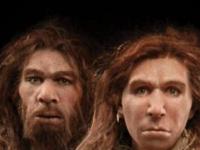 Сможет ли современная женщина родить неандертальца и почему это плохая идея