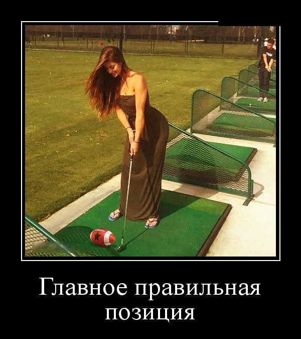 Похожее изображение