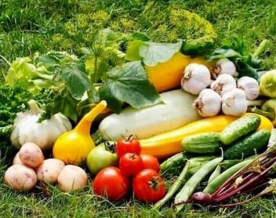 Лунный календарь садовода и огородника на октябрь 2019 года