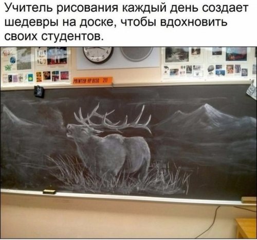 Прикольные картинки дня (55 шт)