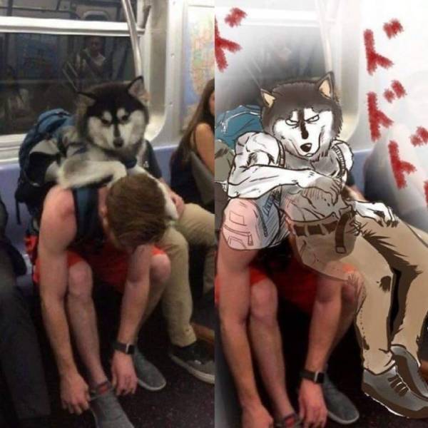 Подборка прикольных картинок приколы,смешные картинки,юмор