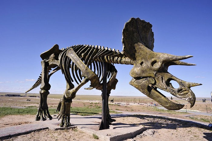 В парке можно найти скелеты динозавров настоящих размеров.
