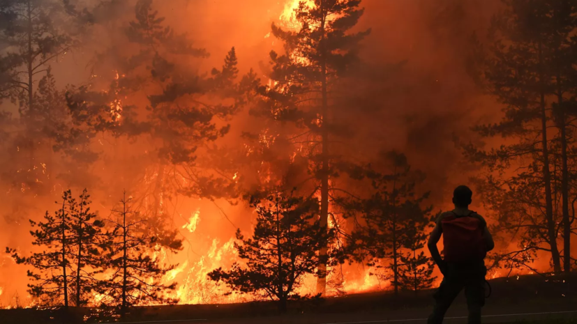 Чрезвычайная пожароопасность лесов прогнозируется в Удмуртии 13—21 июня