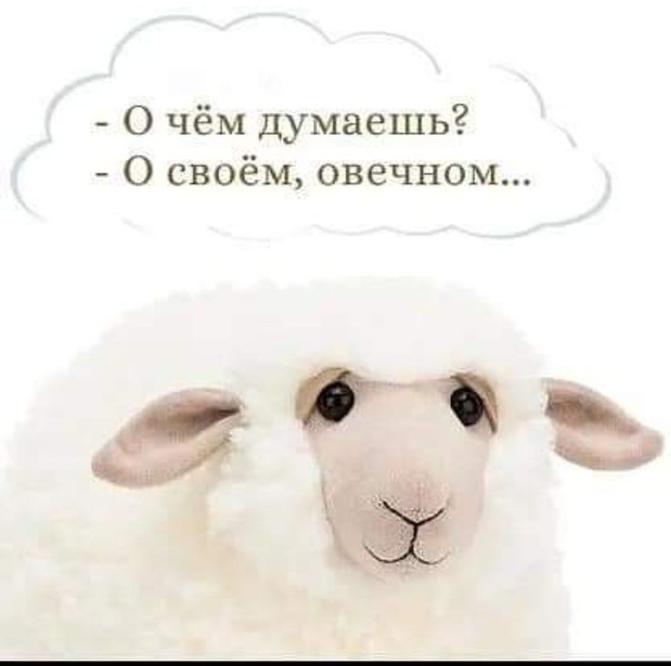 19 свежих картинок с надписями 