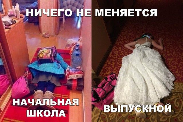 Днем, смешные картинки с надписями про школу с надписями до слез
