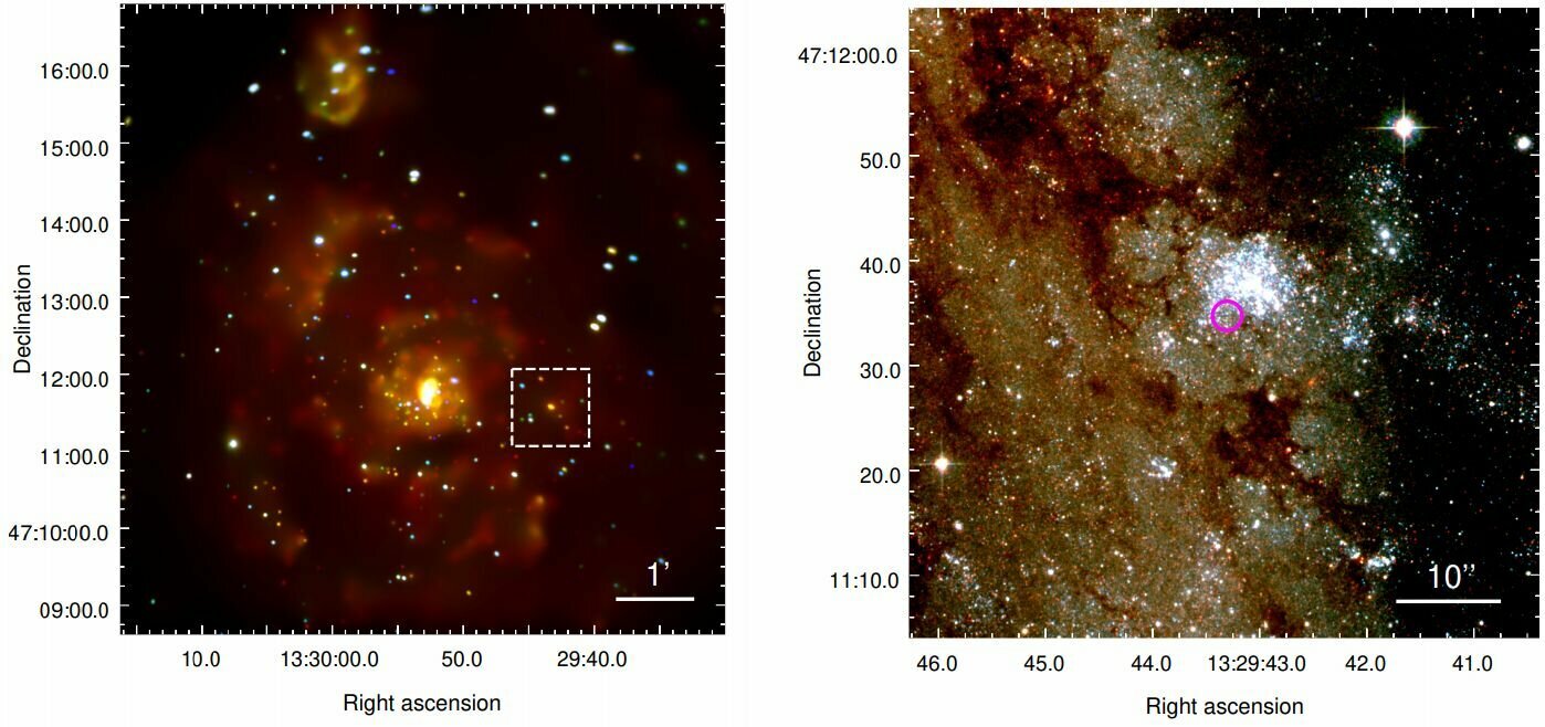 Снимок галактики M51 телескопом Chandra в рентгеновском диапазоне и положение рентгеновского источника M 51-ULS на краю молодого звёздного скопления на детальном снимке Hubble. Di Stefano et al. (2020).