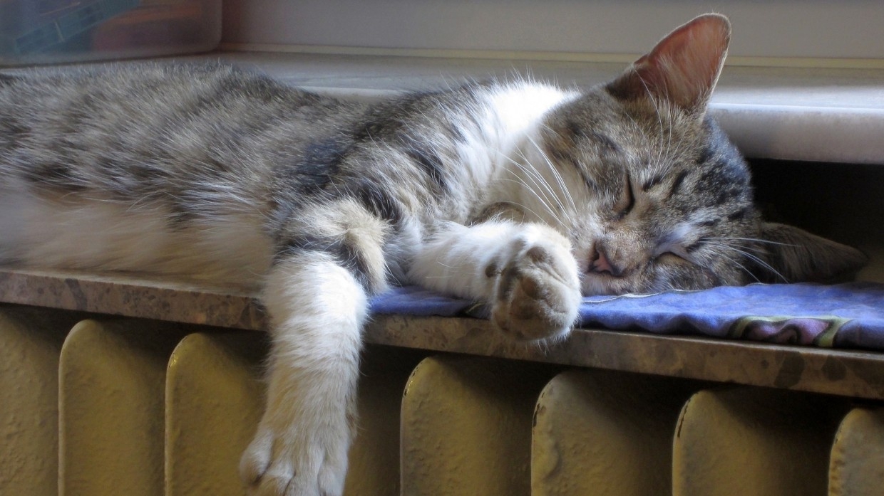 Дома Подмосковья начнут отапливать с 13 сентября