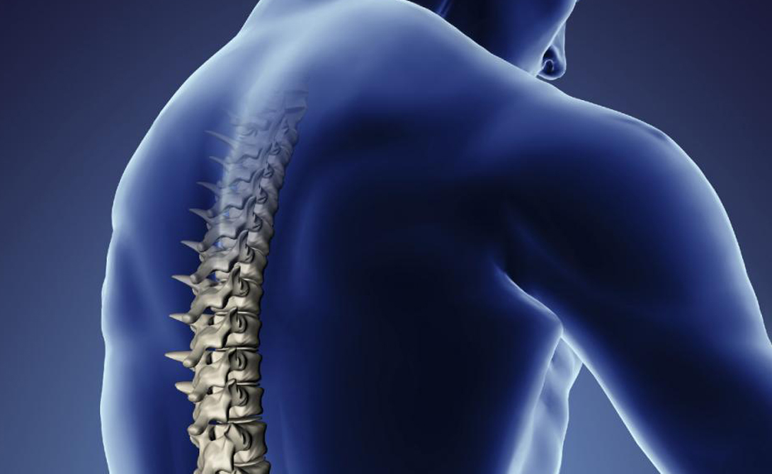 Все, что нужно знать о болях спины