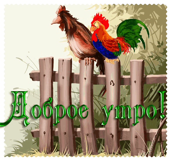 Гифы доброе утро прикольные картинки, для шкатулок