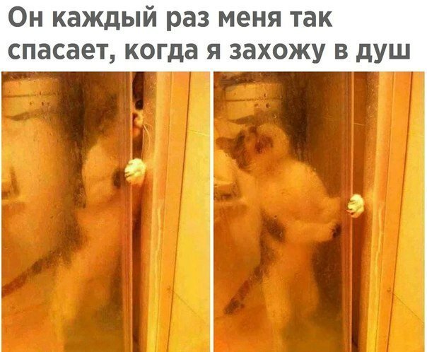 Картинки с надписями  