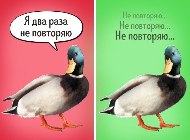 Факты о животных, в которые не стоит верить