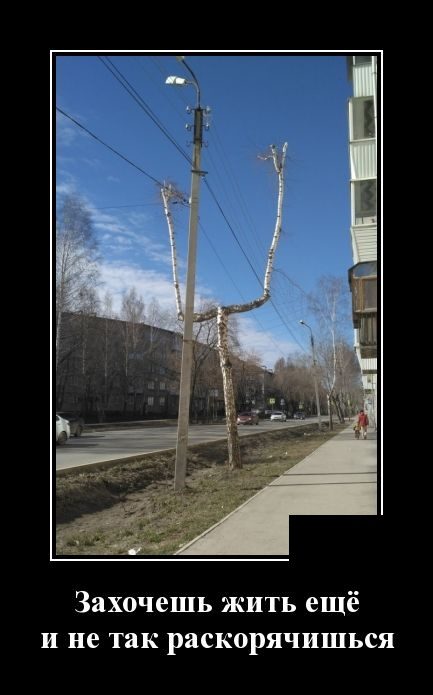 Самые улётные демотиваторы дня 