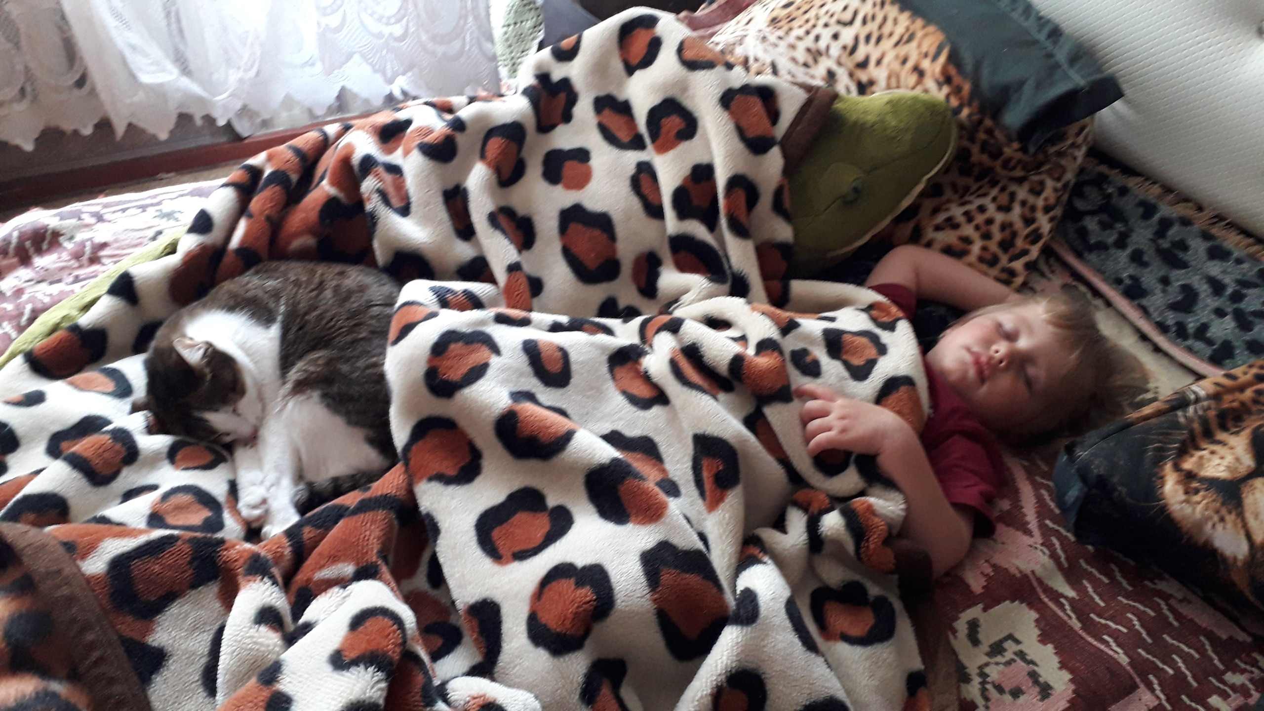 кошка и ребенок