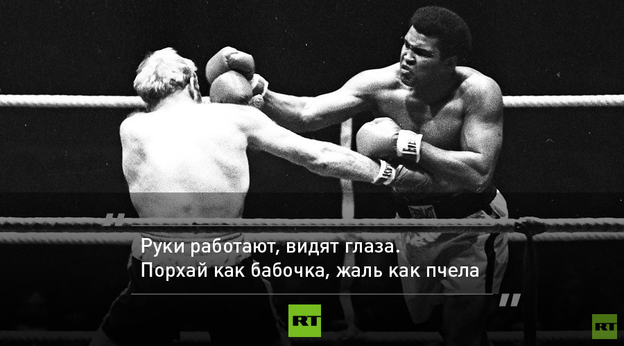 Картинки о боксе с цитатами