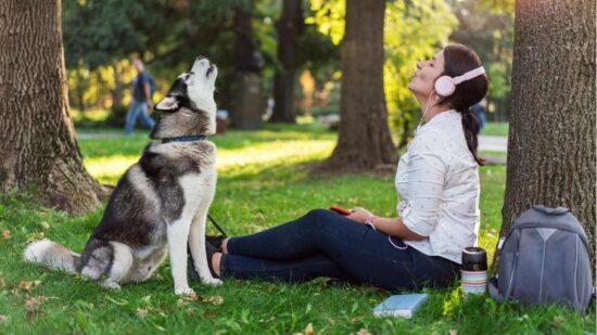 «Спасибо, но нет»: гладить по голове и еще 9 наших привычек, из-за которых собака страдает