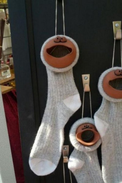 Что здесь происходит?! (24 фото)