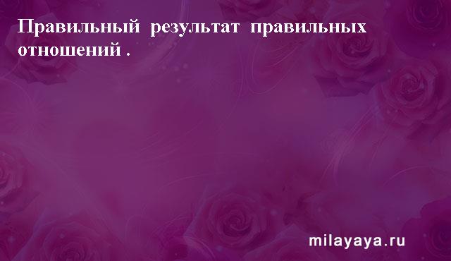 Картинки со статусами. Подборка milayaya-status-milayaya-status-03310529062020-7 картинка milayaya-status-03310529062020-7