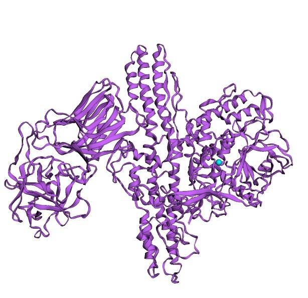 Химическое оружие в Донбассе. В ожидании провокаций украина