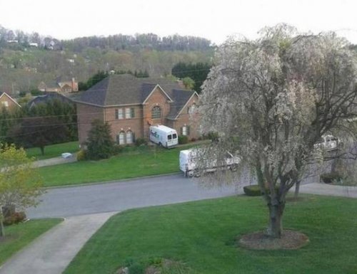 Курьеры, которые справились с доставкой посылок, как смогли 